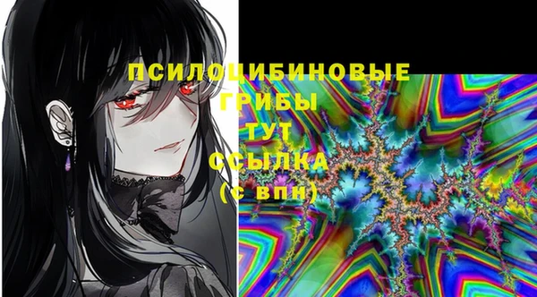 мяу мяу кристалл Гусиноозёрск