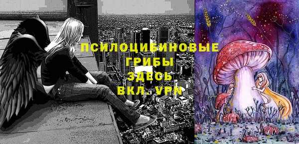 молекула духа Гусев