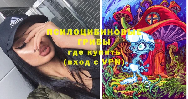 молекула духа Гусев