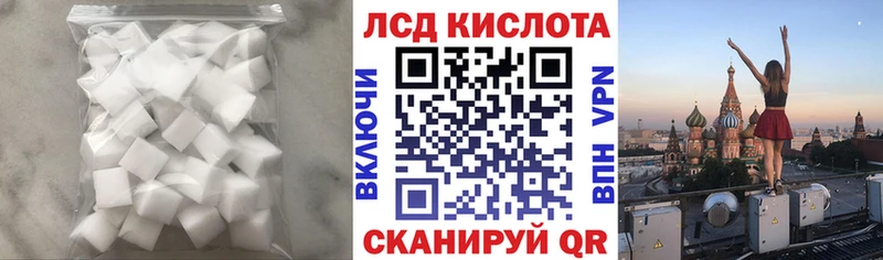 ЛСД экстази кислота  дарнет шоп  Новоржев 